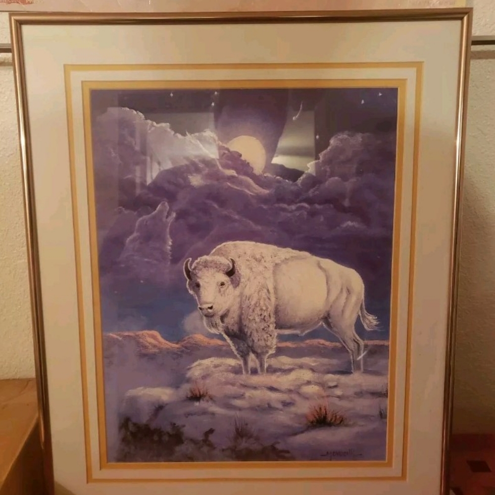 Matching Framed and Signed White Buffalo With Wolf Spirit